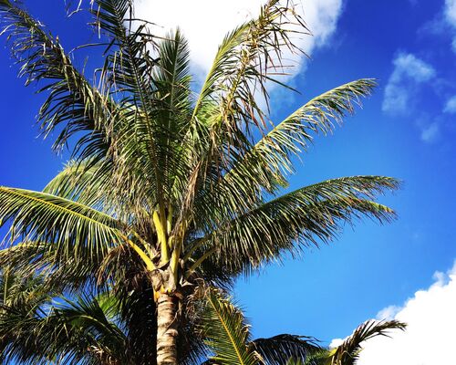 EB5EB465-C128-45A3-A245-41D29CEE8F09