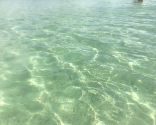 EA95CA75-476D-4CEC-87E7-9F37A8CA7001