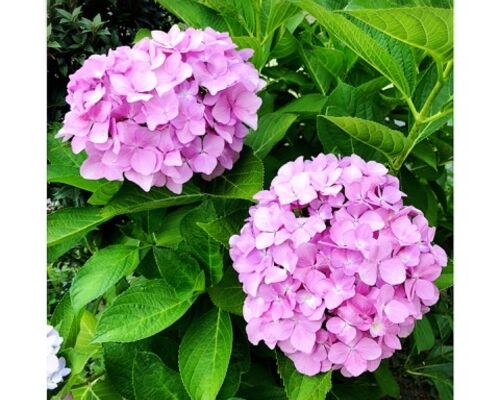 76A4E1CA-46B8-46A1-AC33-6C7EB25A7535