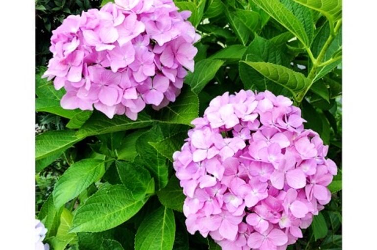 76A4E1CA-46B8-46A1-AC33-6C7EB25A7535