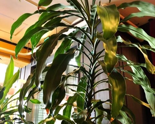 99A078C8-C9EA-4268-9A50-75F08EB0BD11