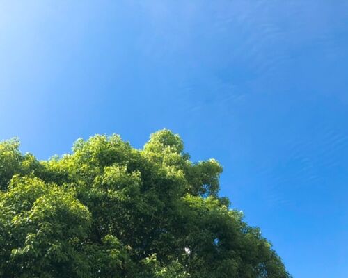 7FC0D1F0-59EC-459F-BF5E-B005097C554B