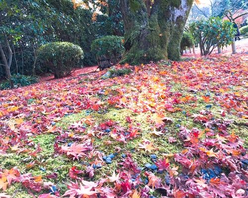 5B75422E-95E3-426E-8F42-76B6E764E92A