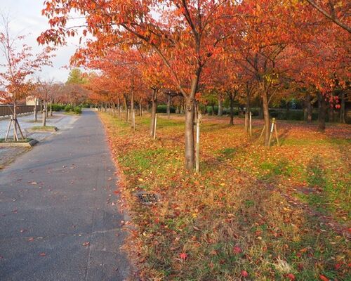 622777A0-D9AC-420C-BF8C-6B7511276036