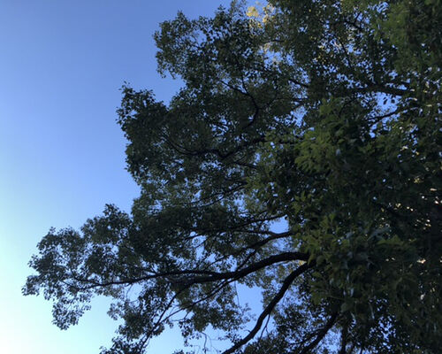 89DA69E5-5B2A-418D-9C1C-2D5EB034E71F