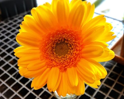 C4CE6B63-8A3C-4420-B45B-1381EC886895