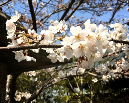 D9907665-F50F-4334-8CDF-82CB3DBC23AA