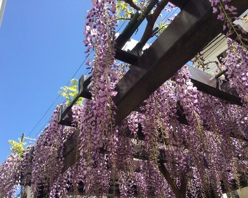 5BAEB710-D166-4EB2-842D-8F086D0568AB