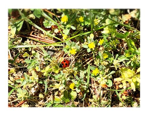 2FE262DC-E9E7-4F98-AE08-0B262C477EF0