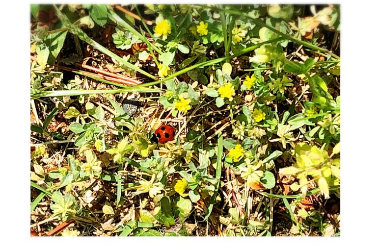 2FE262DC-E9E7-4F98-AE08-0B262C477EF0