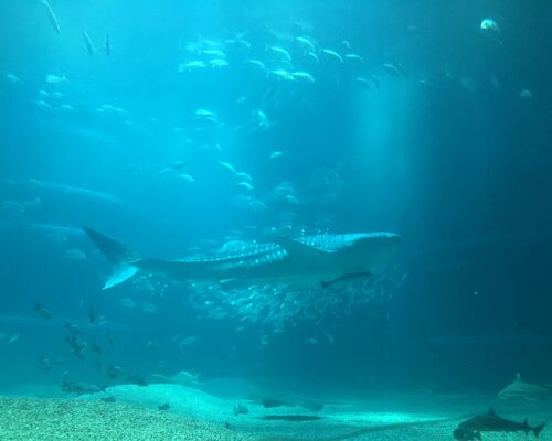 B4788E64-D791-422E-BBBC-A046660A2776