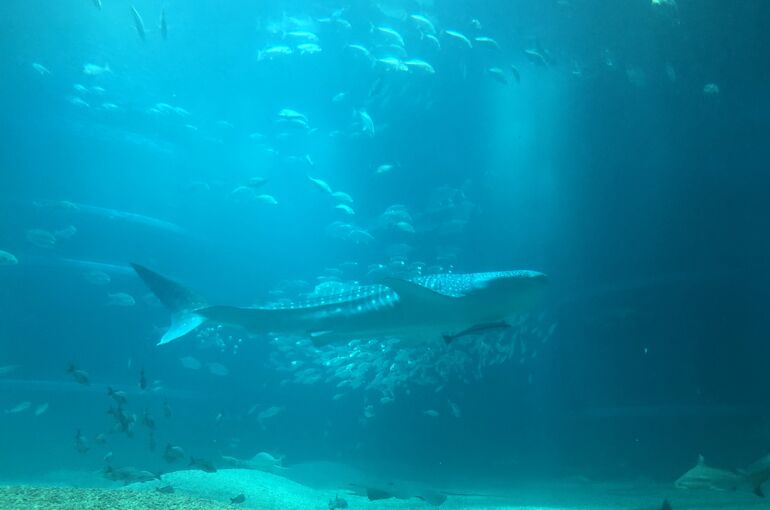 B4788E64-D791-422E-BBBC-A046660A2776