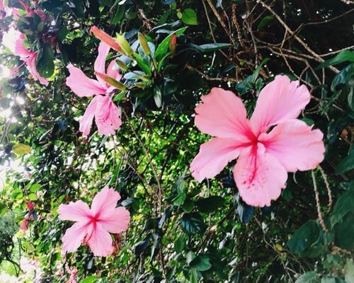 E07E8124-3B75-424B-BFEE-F03797C51948