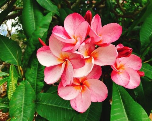 4115E3A8-AF7C-460B-9C82-B1DE22EA74BF