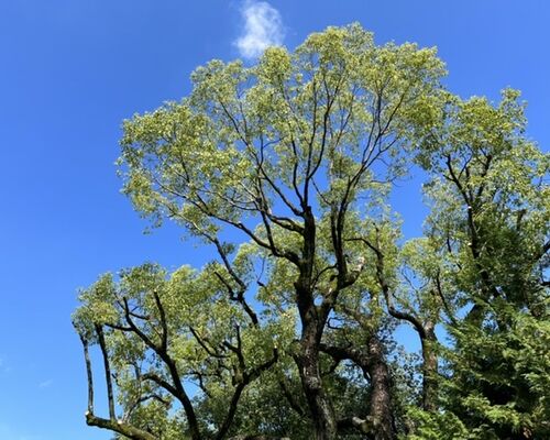 3B02526C-52B4-42F9-8D8B-80F714FF53F2