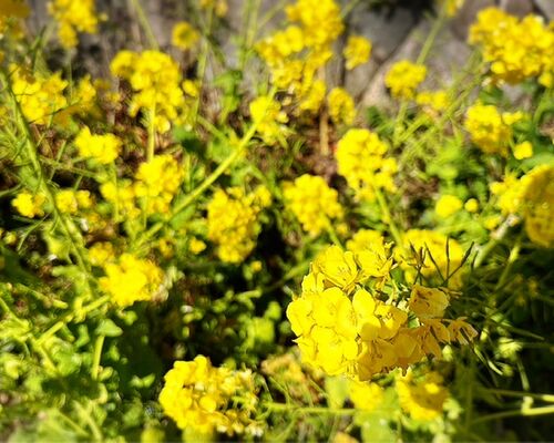 282EF522-37A7-4BF4-8B51-69CD3824841F