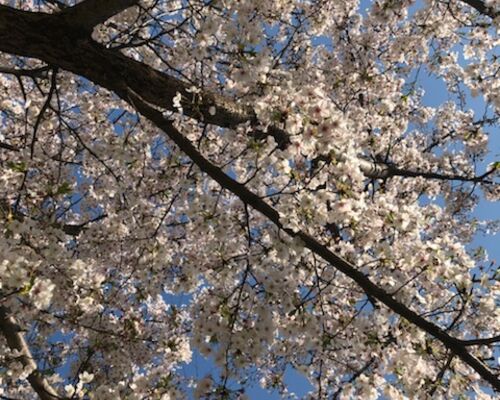 AD3D887D-9A28-4C0A-BA5B-0B0DE412E4A5