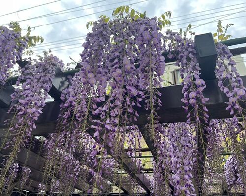 B1BC99CF-2F5B-4CDD-BE77-DB58CFB59379