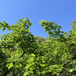 IMG_3134
